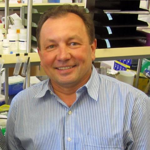 Petr Tvrdik headshot