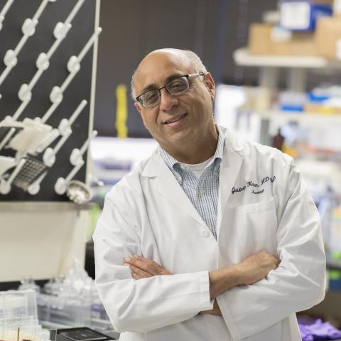 Kapur in the lab